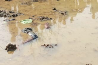 Tragic accident: Another tractor pulling the tractor stuck in the field