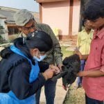 Birdflu in Chhattisgarh… .. Examination of samples taken from