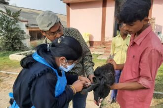 Birdflu in Chhattisgarh… .. Examination of samples taken from