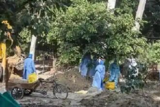 बर्ड फ्लू ने जंगलों में भी पसारे पैर, विलुप्त होती प्रजातियों पर मंडराया खतरा!