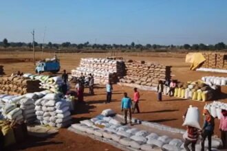 So far, 80.37 lakh metric tonnes of paddy has been purchased in