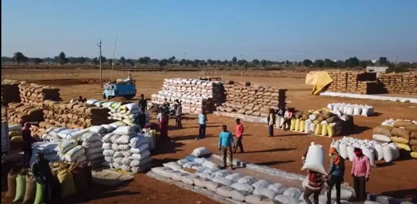 So far, 80.37 lakh metric tonnes of paddy has been purchased in