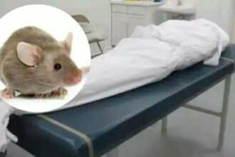 पोस्टमार्टम हाउस से गायब हो गई महिला की आंख, पुलिस बोली-चूहों ने कुतरा