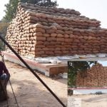 Along with the purchase of 93 lakh tons, the grain of paddy grains