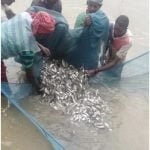 योजनाओं का लाभ मिलने एवं आमदनी बढऩे से मछुआरों में उत्साह