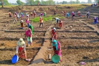 प्रवासी श्रमिकों के लिए संबल बनी मनरेगा : 241 प्रवासी श्रमिकों को मिली 11 लाख रूपए से अधिक की मजदूरी
