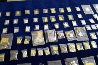 Jamul Police's big success… had been burglarized in 17 houses in the Jamul