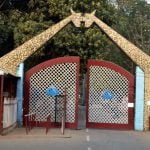 Maitri Bagh will be buzzed again after 10 months