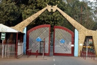 Maitri Bagh will be buzzed again after 10 months