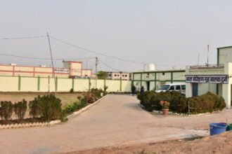 Smart work and innovation led to the rejuvenation of the child communication home