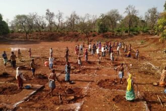 First place in the country in providing employment in Chhattisgarh MNREGA