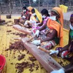 In Chhattisgarh, more than three-fourth of the small forest produce of