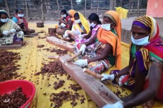 In Chhattisgarh, more than three-fourth of the small forest produce of