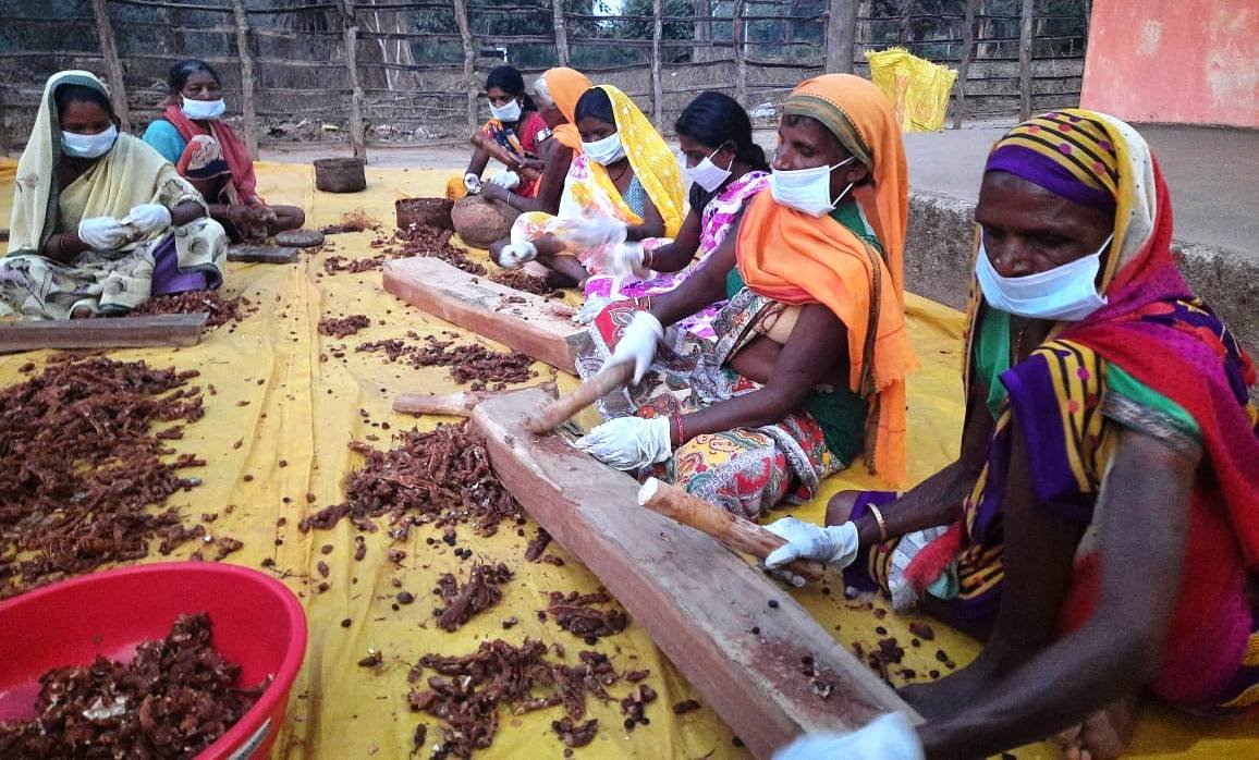 In Chhattisgarh, more than three-fourth of the small forest produce of