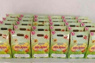 हर्बल गुलाल ने ग्रामीण महिलाओं के जीवन में बिखेरे खुशहाली के रंग : 25 क्विंटल हर्बल गुलाल से हुई पौने सात लाख रूपये की आमदनी