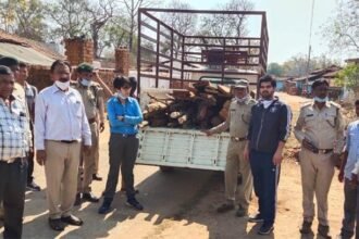 लगभग एक लाख रूपए के अवैध सागौन तथा बीजा चिरान की जप्ती