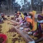 Record of Small Forest Produce Chhattisgarh… Employment of 3