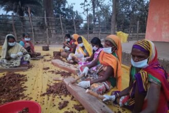 Record of Small Forest Produce Chhattisgarh… Employment of 3