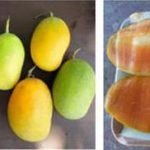 कोटा के किसान ने आम की ऐसी किस्म विकसित की जिसमें बारहों महीने फल आता है