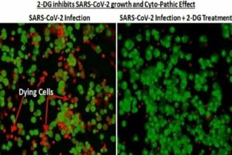 राहत की खबर: अगले हफ्ते से मिलने लगेगी कोरोना की दवा 2डीजी…. मरीजों के लिए होगी रामबाण