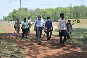 Open theater will also be built in Biodiversity Park