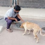 मूक जानवरों की जरूरत को पूरा कर रहे हैं एनिमल सेवियर्स…. लॉकडाऊन में भोजन की व्यवस्था के साथ बीमार बेजुबानों का कर रहे हैं उपचार