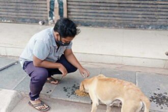 मूक जानवरों की जरूरत को पूरा कर रहे हैं एनिमल सेवियर्स…. लॉकडाऊन में भोजन की व्यवस्था के साथ बीमार बेजुबानों का कर रहे हैं उपचार