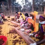 Despite the Kovid crisis, tamarind was stored more this year than last year