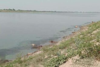 गंगा में कोरोना संक्रमितों के शव: क्या इस पानी से नहाने वालों को भी हो जायेगा संक्रमण?