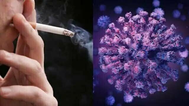 स्मोकिंग करने वालों के लिए गंभीर बन जाता है कोरोना, डब्ल्यूएचओ ने समझाई इसके पीछे की वजह