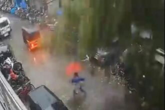 ताउते: बेफिक्र होकर सड़क पार कर रही थी महिला, अचानक टूटा पेड़, वीडियो में देखें कैसे बची जान