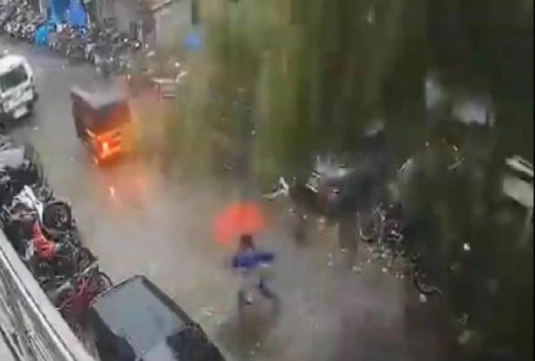 ताउते: बेफिक्र होकर सड़क पार कर रही थी महिला, अचानक टूटा पेड़, वीडियो में देखें कैसे बची जान