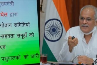 An amount of 3.07 crores transferred to cow dung vendors, Chief Minister Baghel said