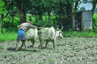 Gift to farmers: MSP increased by 62% for Kharif crops, the decision of the Union Cabinet