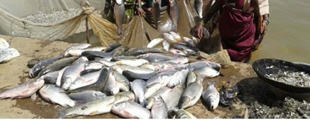 Durga Self Help Group of Baikunthpur got a profit of more than 2 lakh rupees from the livelihood of fisheries