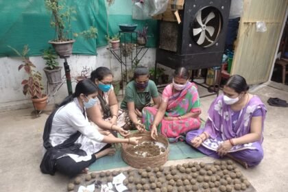 Nayi Disha has prepared a natural ball of seeds