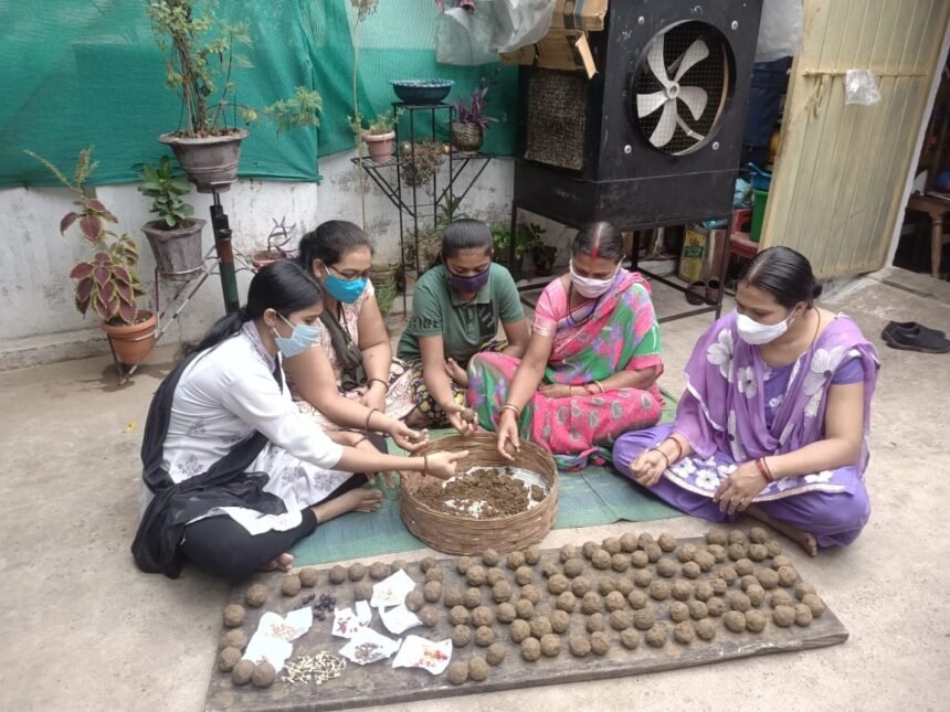 Nayi Disha has prepared a natural ball of seeds