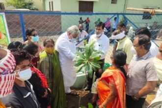 MLA Vora and Mayor Bakliwal planted 80 saplings at different places