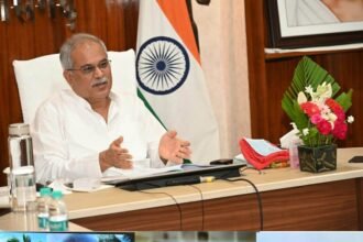 Important initiative to increase the number of tigers in Chhattisgarh