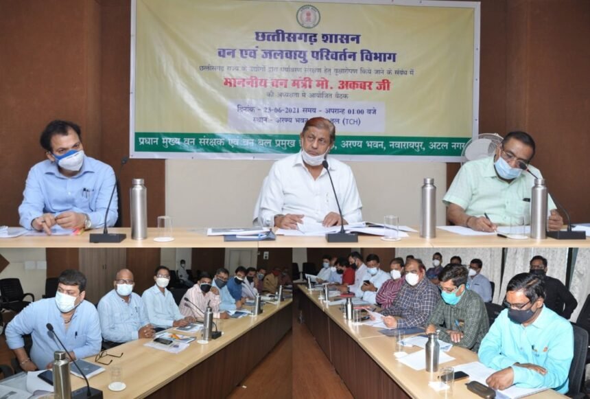 Forest Minister Akbar reviewed the Harrier Chhattisgarh fund plantation program