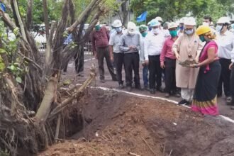 SP-3's unique initiative: 20 years old banyan tree has been shifted