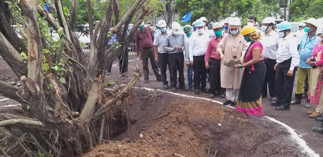 SP-3's unique initiative: 20 years old banyan tree has been shifted