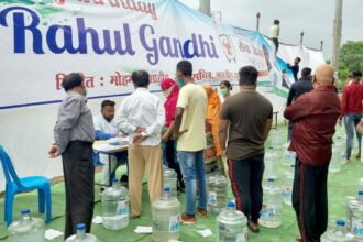 Youth Congress celebrates Rahul Gandhi's birthday with a resolve to serve