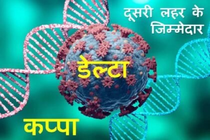 डब्ल्यूएचओ ने कोरोना वेरिएंट्स का किया नामकरण, भारत में मिले वायरस को 'डेल्टा' और 'कप्पा' नाम दिया