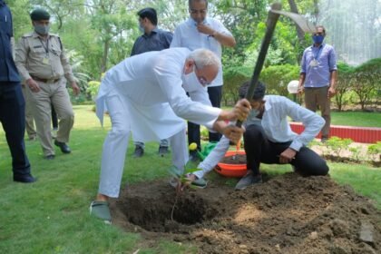 The Chief Minister planted a sapling of Harra and Char in his residence premises