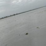 अलर्ट: हरिद्वार से छोड़ा 3.75 लाख क्यूसेक पानी, यूपी में उफान पर गंगा, इन दो जिलों पर मंडरा रहा बाढ़ का खतरा