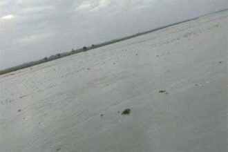 अलर्ट: हरिद्वार से छोड़ा 3.75 लाख क्यूसेक पानी, यूपी में उफान पर गंगा, इन दो जिलों पर मंडरा रहा बाढ़ का खतरा