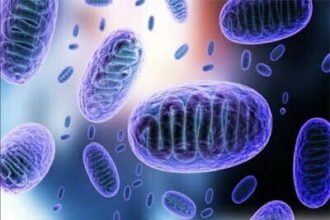 एक और खतरा: इंदौर में मिला ग्रीन फंगस का पहला मरीज, जानें ब्लैक और व्हाइट फंगस से कितना घातक?