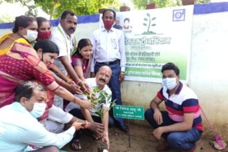 Plants planted in 4000 houses of Risali corporation area… Sandalwood and Mauli