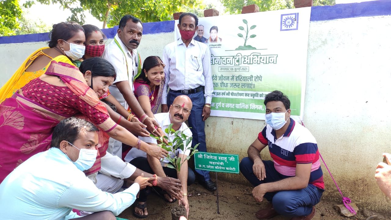 Plants planted in 4000 houses of Risali corporation area… Sandalwood and Mauli